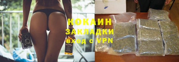 сатива Дмитриев